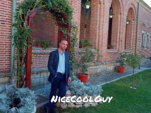 NiceCoolGuy
