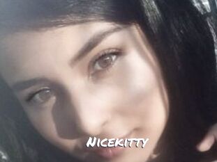 Nicekitty