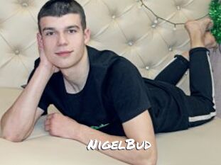 NigelBud