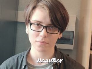 NoahBoy