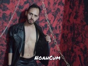 NoahCum