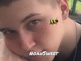 NoahSweet