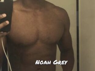 Noah_Grey