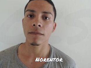 Noren_tor