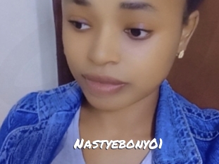 nastyebony01 Ochranne Siete