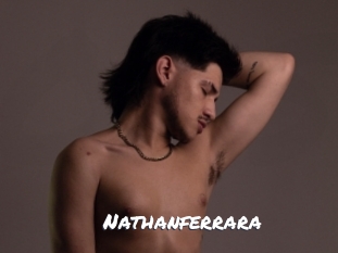 nathanferrara Ochranne Siete