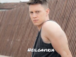 Neilgaviria