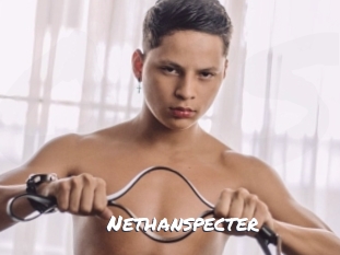Nethanspecter