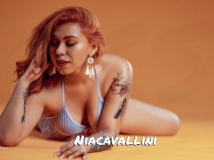 Niacavallini