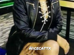 Nicecattx