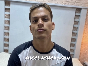 nicolashodgson Ochranne Siete