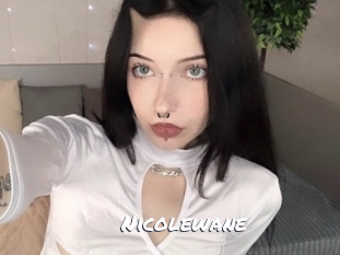 nicolewane Ochranne Siete