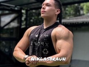 niklasbraun Ochranne Siete