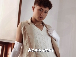 noadupont Ochranne Siete