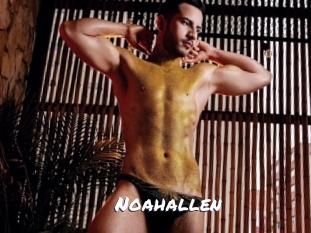 Noahallen