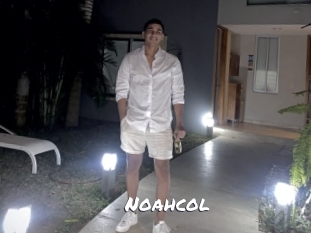 noahcol Ochranne Siete