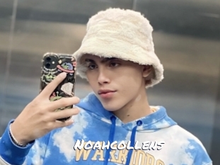 noahcollens Ochranne Siete