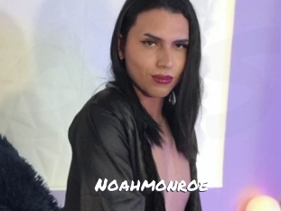 noahmonroe Ochranne Siete