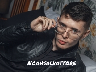 Noahsalvattore
