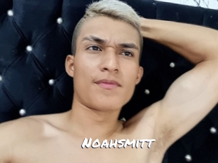 noahsmitt Ochranne Siete