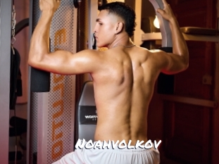 noahvolkov Ochranne Siete