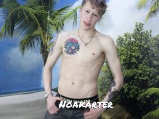 Noakarter