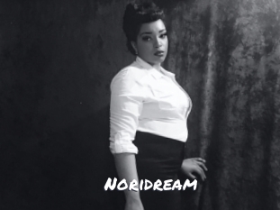 noridream Ochranne Siete