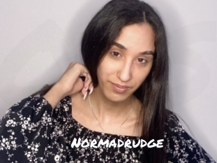 Normadrudge