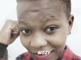 Nozy