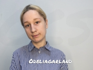 Odeliagarland