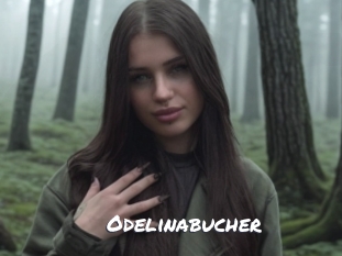 Odelinabucher