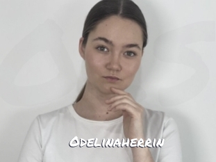 odelinaherrin Ochranne Siete