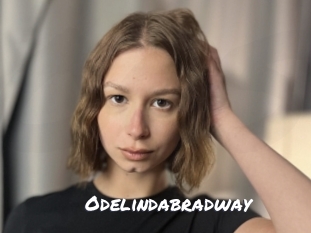 odelindabradway Ochranne Siete