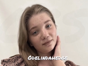 Odelindahedge