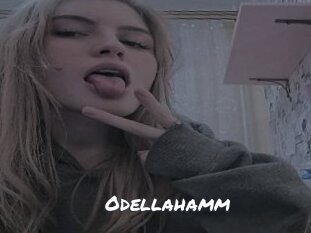 Odellahamm