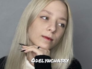 odelynchasey Ochranne Siete