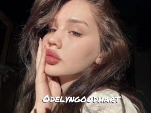 odelyngoodhart Ochranne Siete