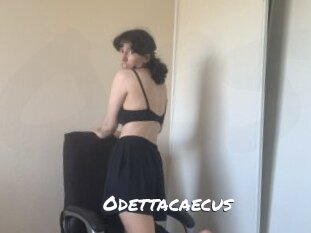 Odettacaecus