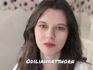 odiliahartshorn Ochranne Siete