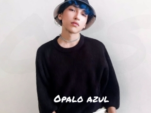 opalo_azul Ochranne Siete