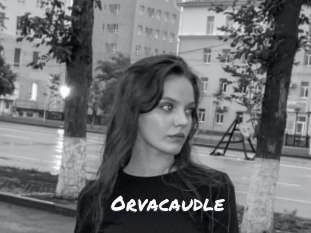 Orvacaudle