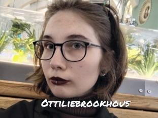 ottiliebrookhous Ochranne Siete