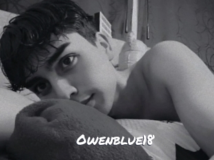 owenblue18 Ochranne Siete