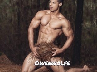 owenwolfe Ochranne Siete