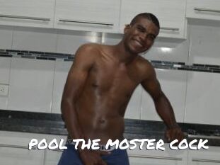 POOL_THE_MOSTER_COCK