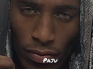 Paju