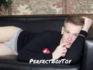 PerfectBoyToy