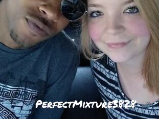 PerfectMixture3828