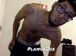PlayfulJoe