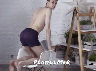 PlayfulMrR